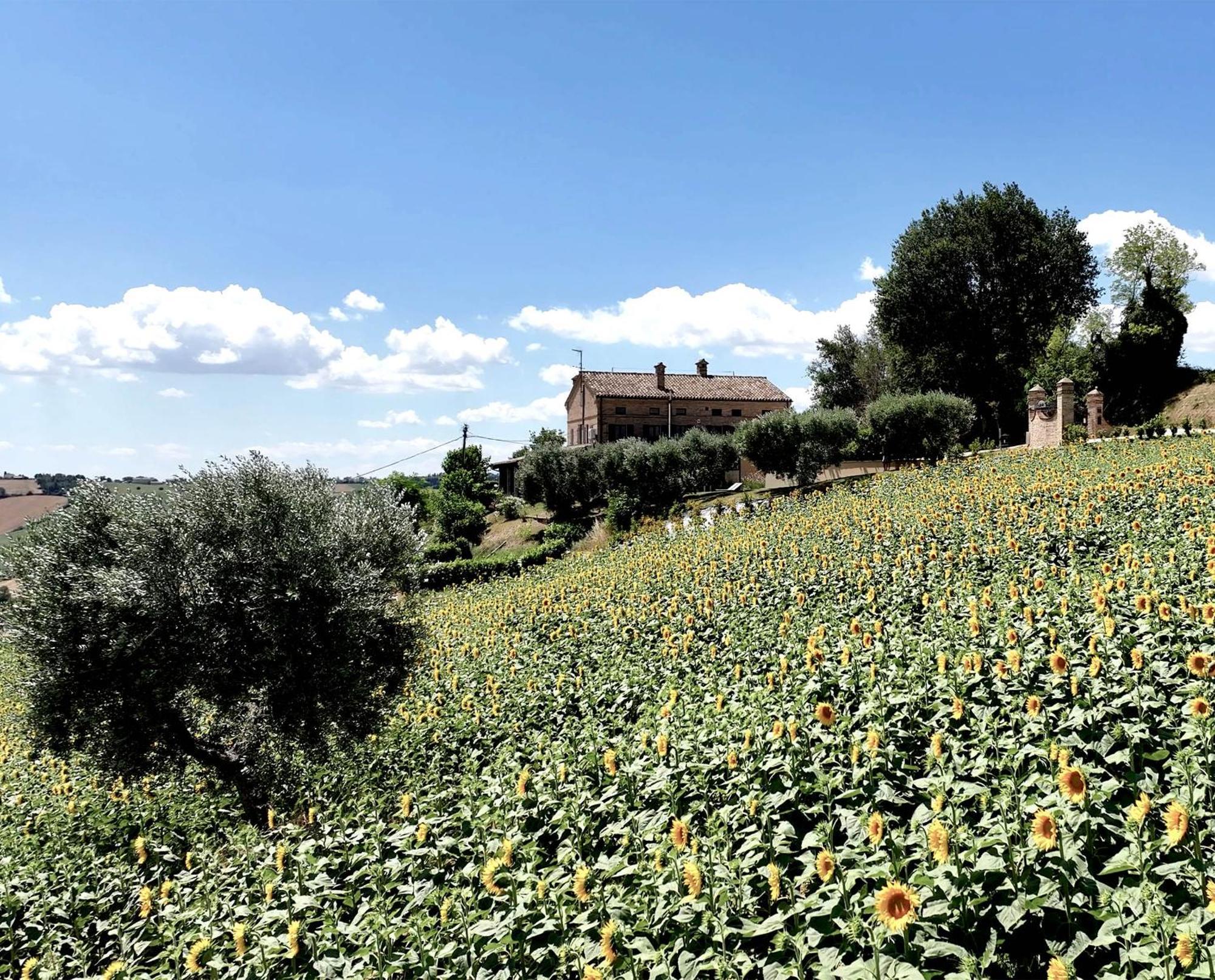 Bed And Breakfast La Vecchia Scuola Montefano Exterior foto